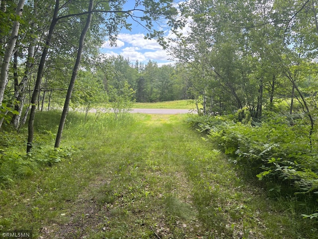 14440 State Highway 27, Sturgeon Lake, MN 55783 - photo 33