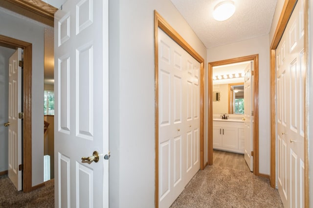 5114 207th St N, Forest Lake, MN 55025 - photo 17