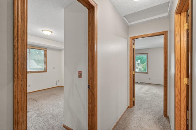 11035 Pheasant Ln N, Maple Grove, MN 55369 - photo 18
