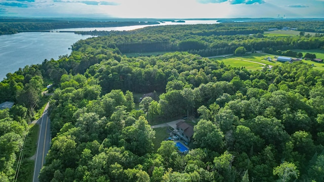 32044 Sunny Beach Rd, Harris Twp, MN 55744 - photo 47