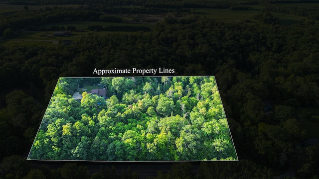 32044 Sunny Beach Rd, Harris Twp, MN 55744 - photo 49