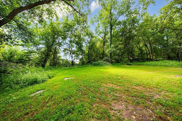 49669 Sakatah Ln, Waterville, MN 56096 - photo 22