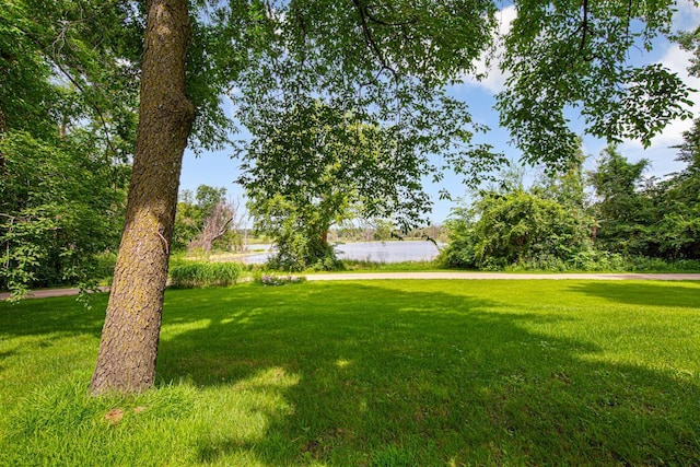 49669 Sakatah Ln, Waterville, MN 56096 - photo 24