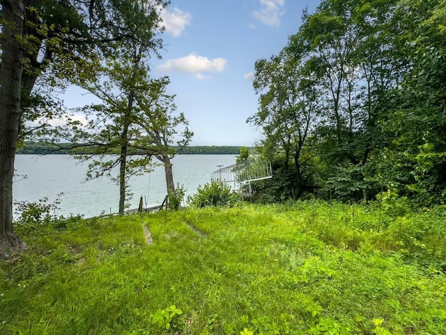 49669 Sakatah Ln, Waterville, MN 56096 - photo 27