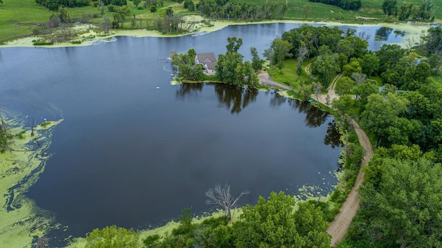 49669 Sakatah Ln, Waterville, MN 56096 - photo 28