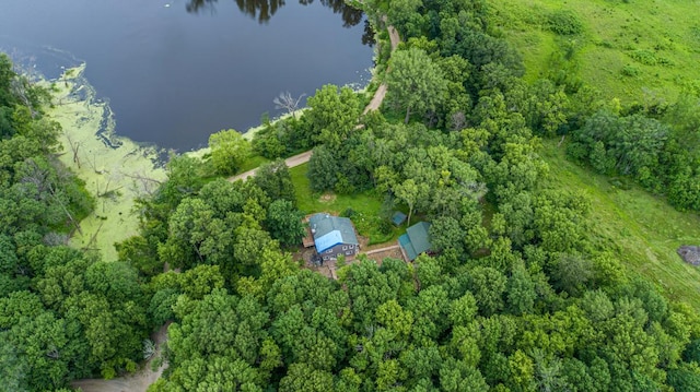 49669 Sakatah Ln, Waterville, MN 56096 - photo 1