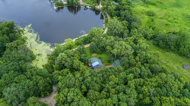 49669 Sakatah Ln, Waterville, MN 56096 - photo 30