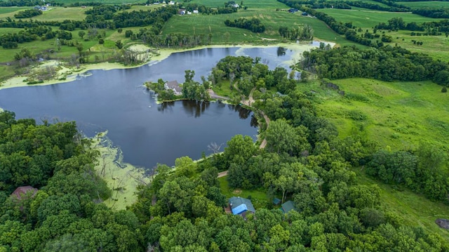 49669 Sakatah Ln, Waterville, MN 56096 - photo 31