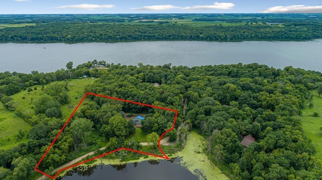49669 Sakatah Ln, Waterville, MN 56096 - photo 35