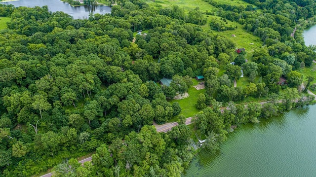 49669 Sakatah Ln, Waterville, MN 56096 - photo 40