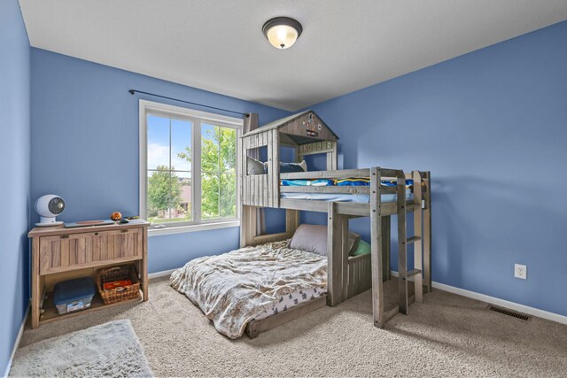 81 Lockwood Ct, Hudson, WI 54016 - photo 21