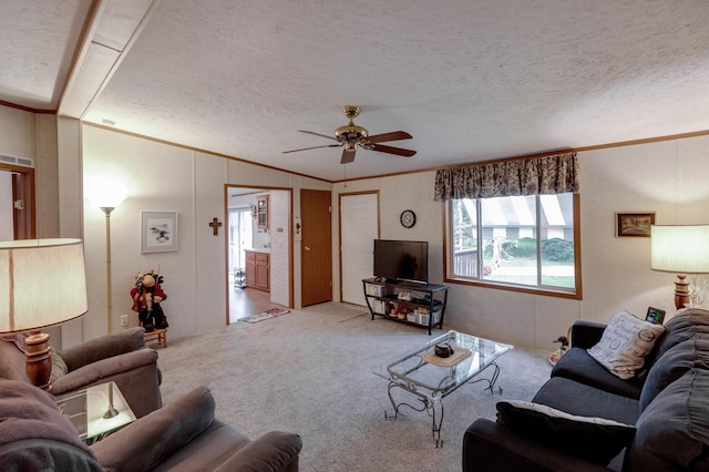 19350 Necktie Ln, Lake George, MN 56458 - photo 4