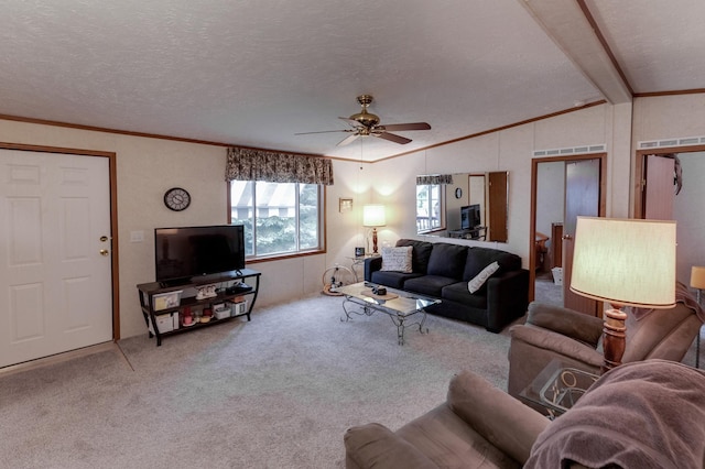 19350 Necktie Ln, Lake George, MN 56458 - photo 6