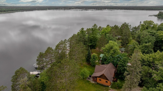 19350 Necktie Ln, Lake George, MN 56458 - photo 29