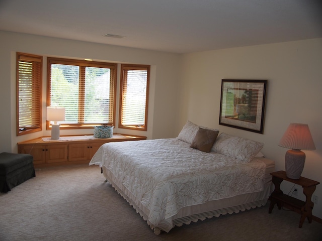 10820 57th Ave N, Plymouth, MN 55442 - photo 6