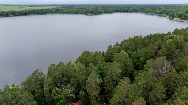 12085 Arrowhead Dr, Menahga, MN 56464 - photo 46