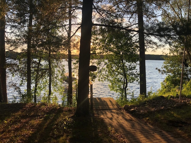 12085 Arrowhead Dr, Menahga, MN 56464 - photo 49