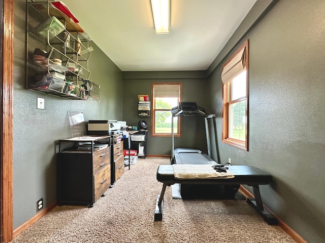 32108 140th St, Seward Twp, MN 56131 - photo 22