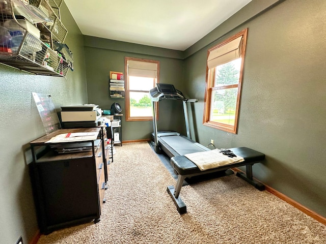 32108 140th St, Seward Twp, MN 56131 - photo 23