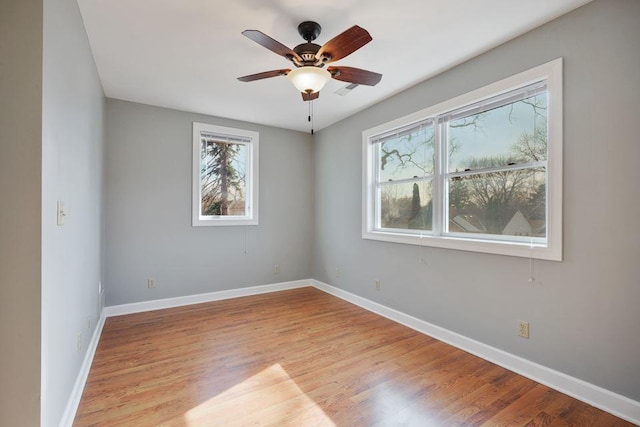 4101 31st Ave S, Minneapolis, MN 55406 - photo 16