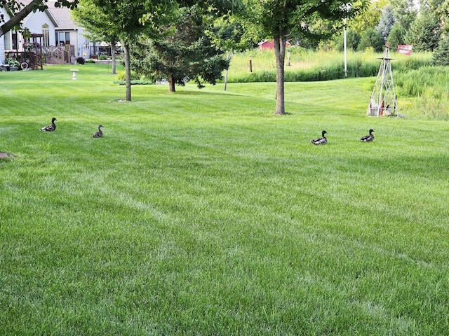 1509 29th St SW, Austin, MN 55912 - photo 3