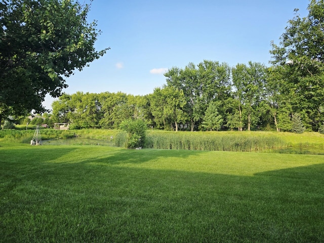 1509 29th St SW, Austin, MN 55912 - photo 5
