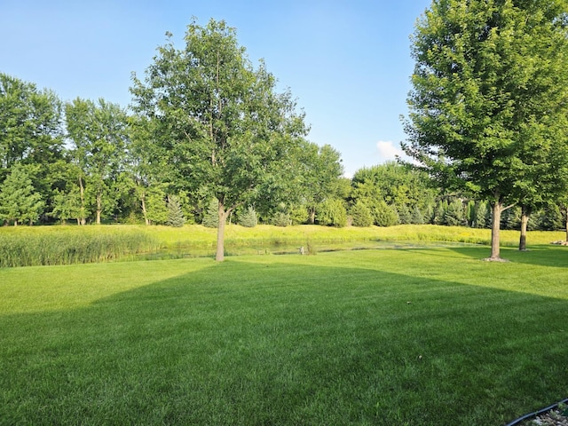 1509 29th St SW, Austin, MN 55912 - photo 6