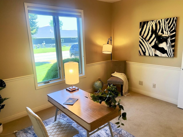 1509 29th St SW, Austin, MN 55912 - photo 40