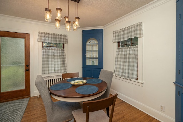 1221 1st St NW, Rochester, MN 55901 - photo 10