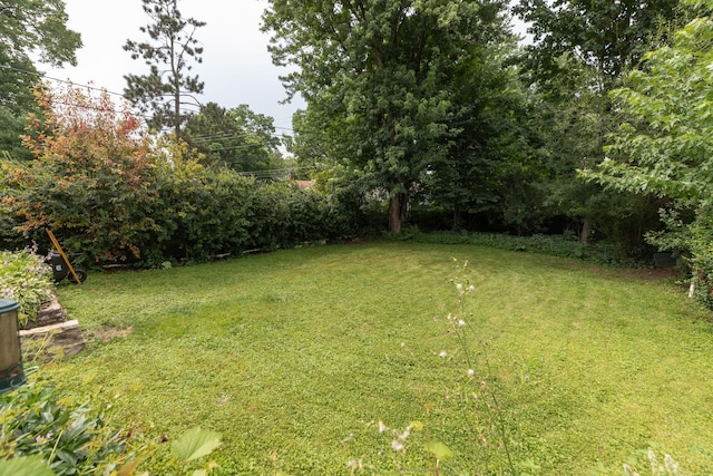 1221 1st St NW, Rochester, MN 55901 - photo 47