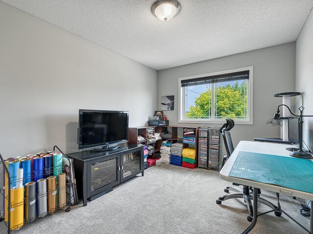 12158 Hupp St NE, Blaine, MN 55449 - photo 13