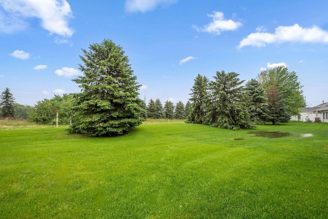 14650 Bloomfield Path, Rosemount, MN 55068 - photo 37