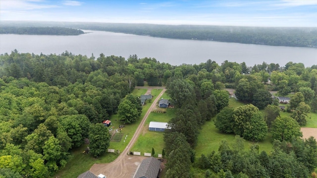 20407 Crystal Springs Loop, Harris Twp, MN 55744 - photo 43