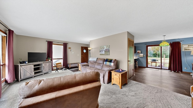 312 Pinecrest Ct SW, Pine Island, MN 55963 - photo 4