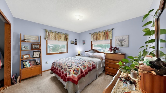 312 Pinecrest Ct SW, Pine Island, MN 55963 - photo 13