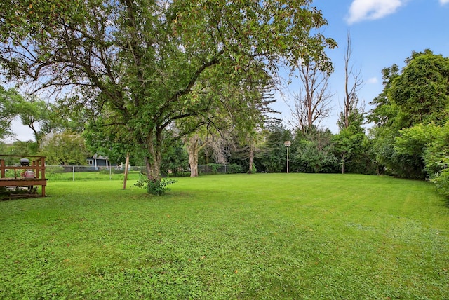 312 Pinecrest Ct SW, Pine Island, MN 55963 - photo 21