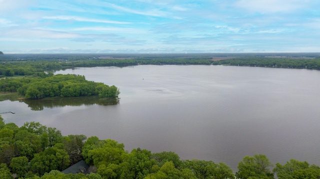 6991 100th Ave SE, Clear Lake Twp, MN 55319 - photo 3