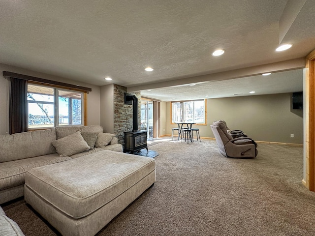 6991 100th Ave SE, Clear Lake Twp, MN 55319 - photo 21