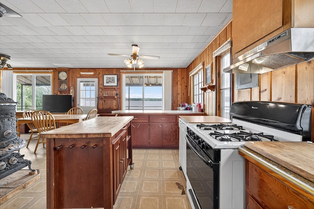 14805 130th Street Ln N, May Twp, MN 55082 - photo 10