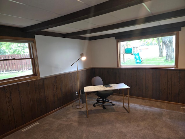 1459 Grace Ave SW, Willmar, MN 56201 - photo 22
