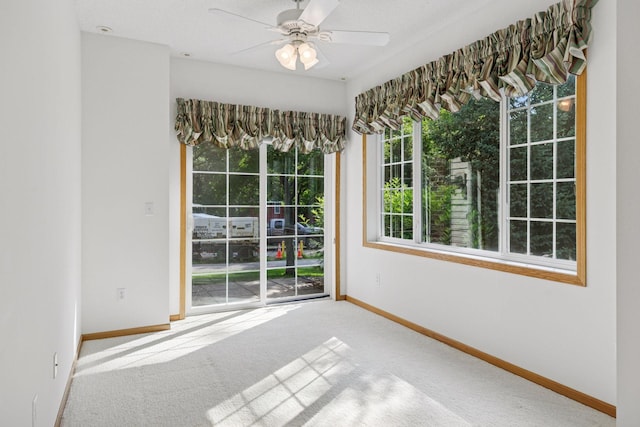 2021 Stahlke Way, Chaska, MN 55318 - photo 14