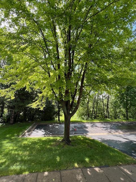 2021 Stahlke Way, Chaska, MN 55318 - photo 24