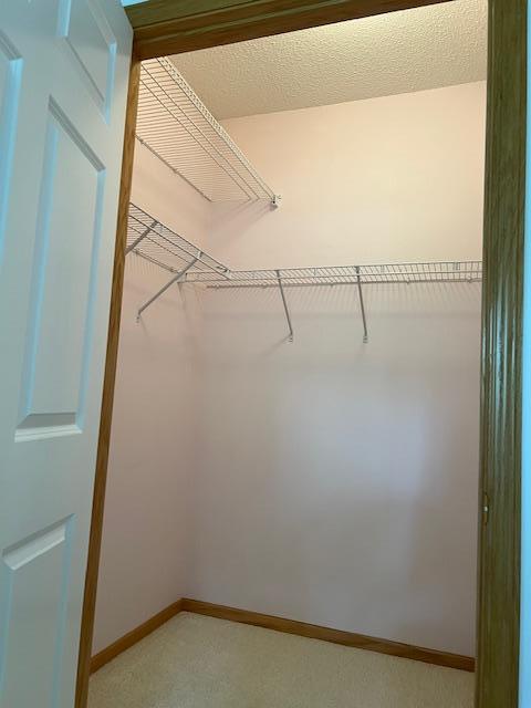 2021 Stahlke Way, Chaska, MN 55318 - photo 20