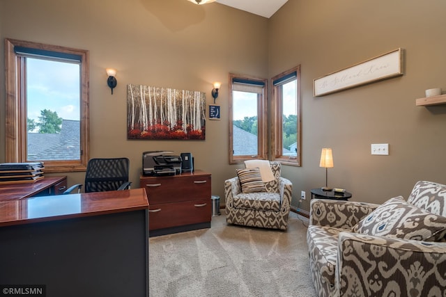 204 Woodhill Ct, Mankato, MN 56001 - photo 29