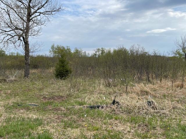 35 Spartan Circle Dr, Superior, WI 54880 - photo 3