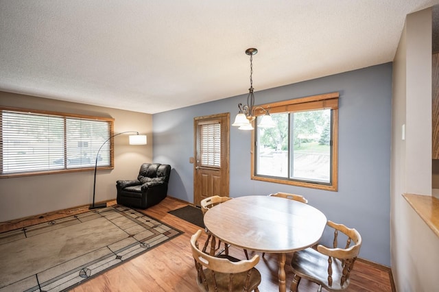 8469 Pond Trl, Champlin, MN 55316 - photo 10