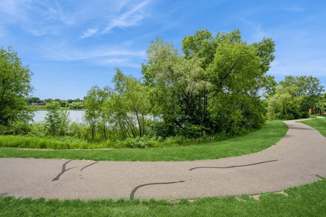 8469 Pond Trl, Champlin, MN 55316 - photo 19