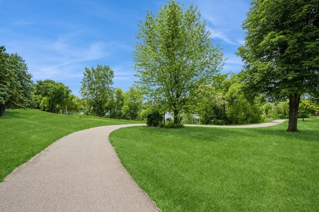 8469 Pond Trl, Champlin, MN 55316 - photo 20
