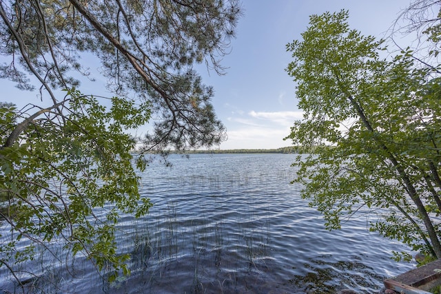 1269 Wabedo Pass Rd NE, Longville, MN 56655 - photo 2