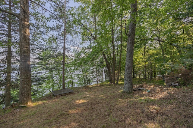 1269 Wabedo Pass Rd NE, Longville, MN 56655 - photo 13